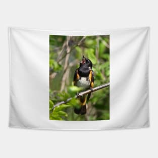 With a Song in his Heart  - Redstart Tapestry