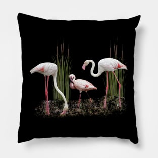 Greater Flamingo and Lesser Flamingo in Kenya / Africa Pillow