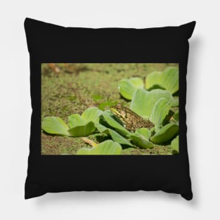 Green Dreams Pillow