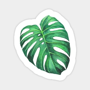 Monstera leaf tropical watercolor illustration Magnet