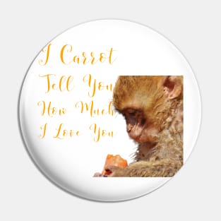 I Carrot Tell You How Much I Love You Pin