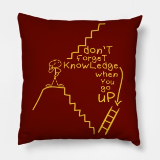 knowledge is my Ladder Pillow