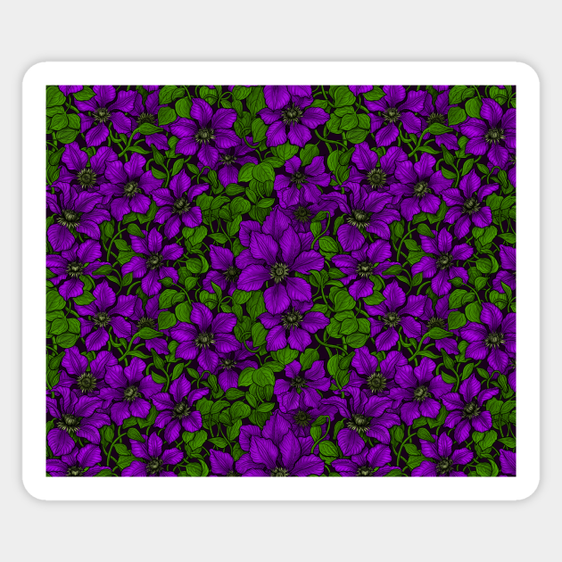 Purple Clematis vine - Flower - Sticker
