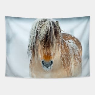 Shaggy Horse In Winter Tapestry