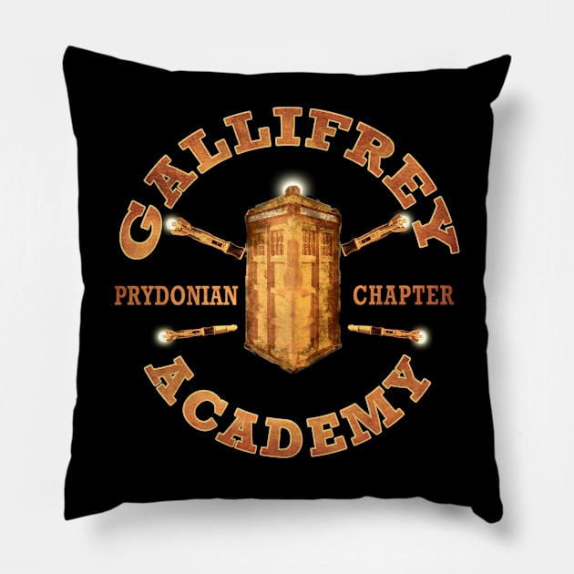 Gallifrey Academy Pillow by blueshift