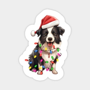 Christmas Border Collie Magnet