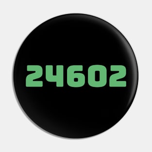 24602 Pin