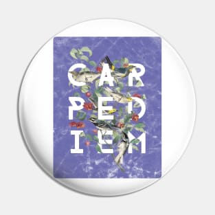 Carpe Diem - Modern Typography with Vintage Birds in Periwinkle Pin