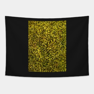 Forest Moss Background Texture Tapestry