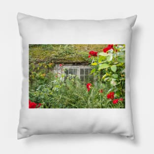 Cottage window. Pillow