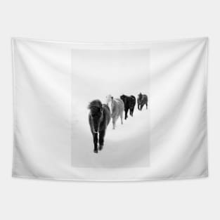 Icelandic Horses Walking, black and white Tapestry