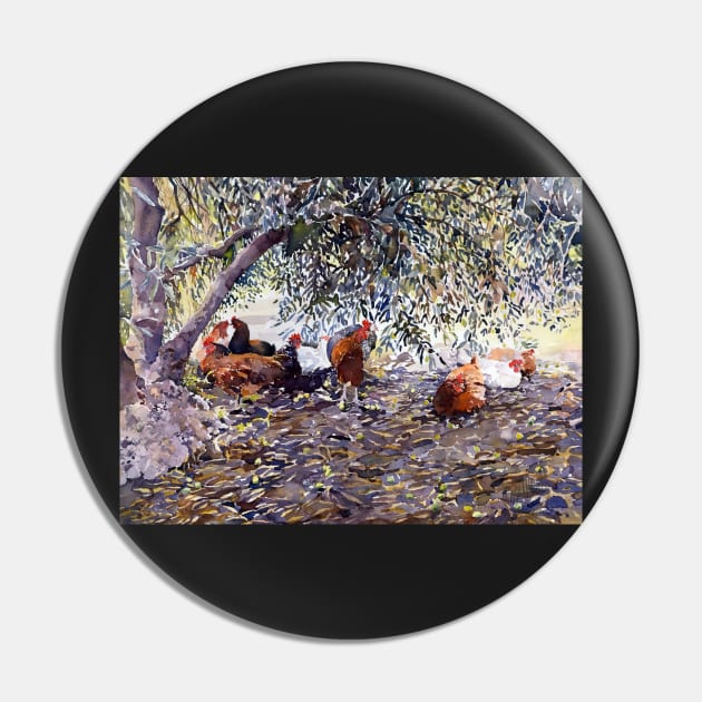 Hens In My Olive Grove Pin by margaretmerry