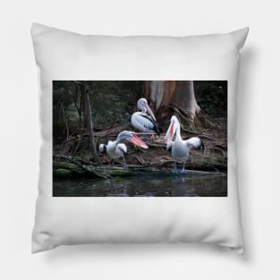 Pelican Chat Pillow