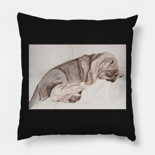 watercolor sleeping dog Pillow