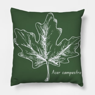 Field maple tree Pillow