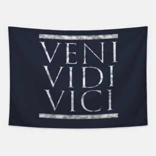Veni Vidi Vici, Roman Latin Quote Julius Caesar in Marble Tapestry