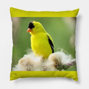 American Goldfinch and Thistle No.3 Pillow