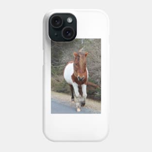 Assateague Pony - Virginia Phone Case