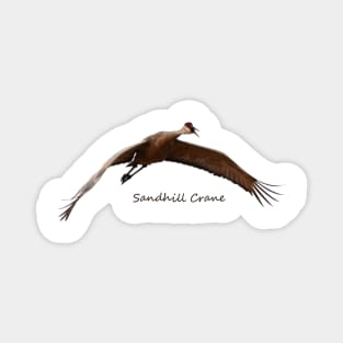 Sandhill Crane in Flight Magnet