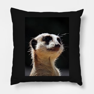 Meerkat Pillow