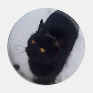 Black Cat Pin