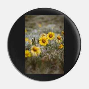 Mountain Wildflowers Pin