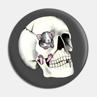 Skull rat Pin