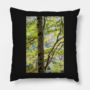 Gruinard Birch in motion Pillow