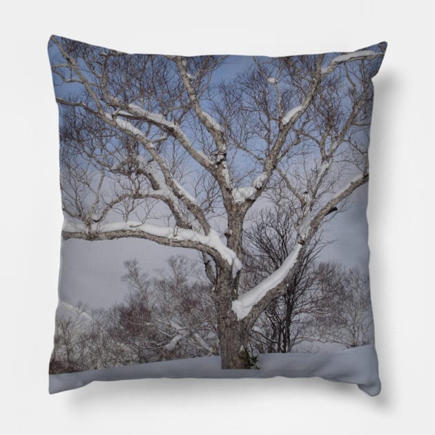 Snow on the branches Pillow by HFGJewels