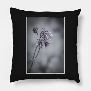 Columbine in Black and White Pillow