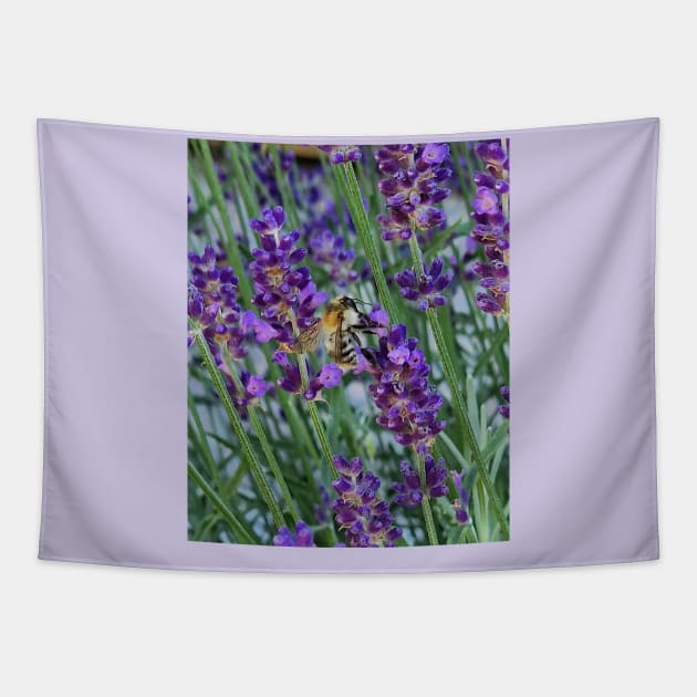 bee on lavender Tapestry by MojcaD