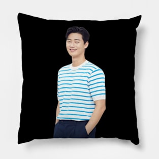 Park Seo Joon - V1 Pillow