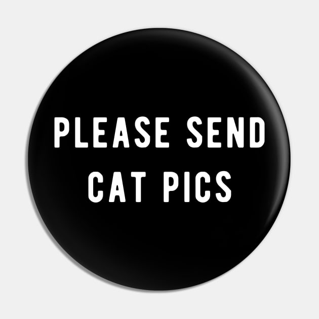 please send cat pics Pin by Ramy Art