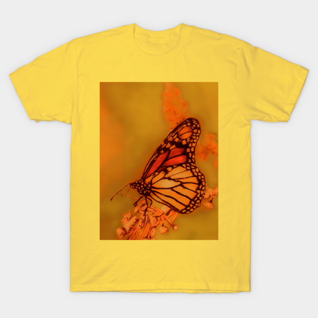 Butterfly - Butterfly Wings - T-Shirt | TeePublic