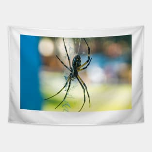 Argiope aurantia Tapestry