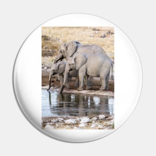 Elephants at the waterhole. Pin