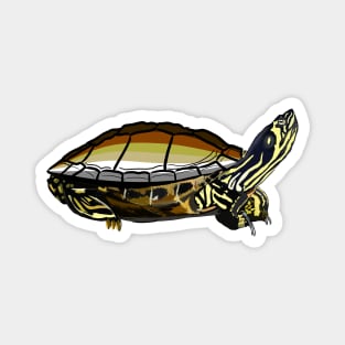 Bear Pride Turtle Magnet