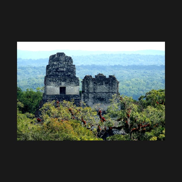 Guatemala - site archéologique de Tikal by franck380