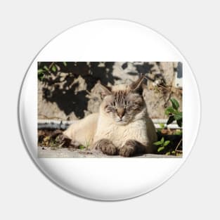 Cat Sleeping Pin