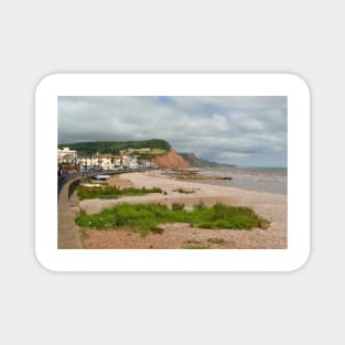 Sidmouth, Devon Magnet