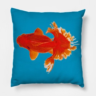 Tosakin goldfish Pillow