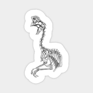 Oviraptor skeleton Magnet