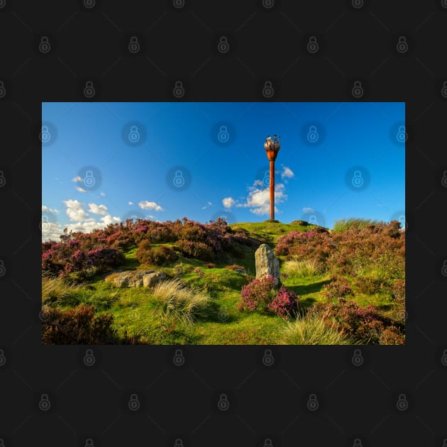 Danby Beacon, North York Moors by MartynUK