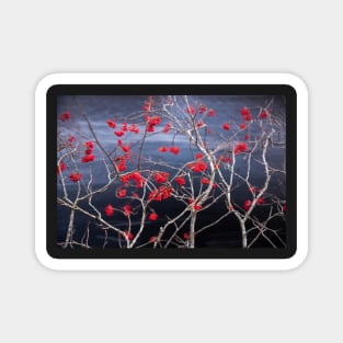 River berries Magnet