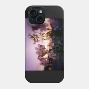 wildflowers & Columbia River sunset 2 Phone Case