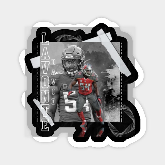 Lavonte David T-Shirts & Hoodies, Tampa Bay Football