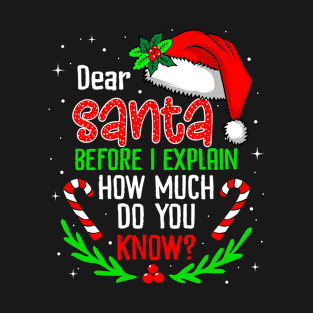 Funny Christmas Dear Santa Before I Explain Xmas Family T-Shirt