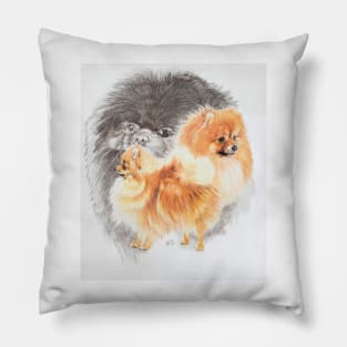 Pomeranian Medley Pillow