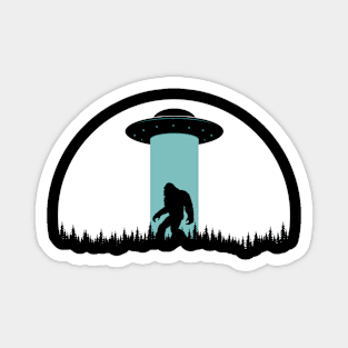 Bigfoot Ufo Abduction Magnet