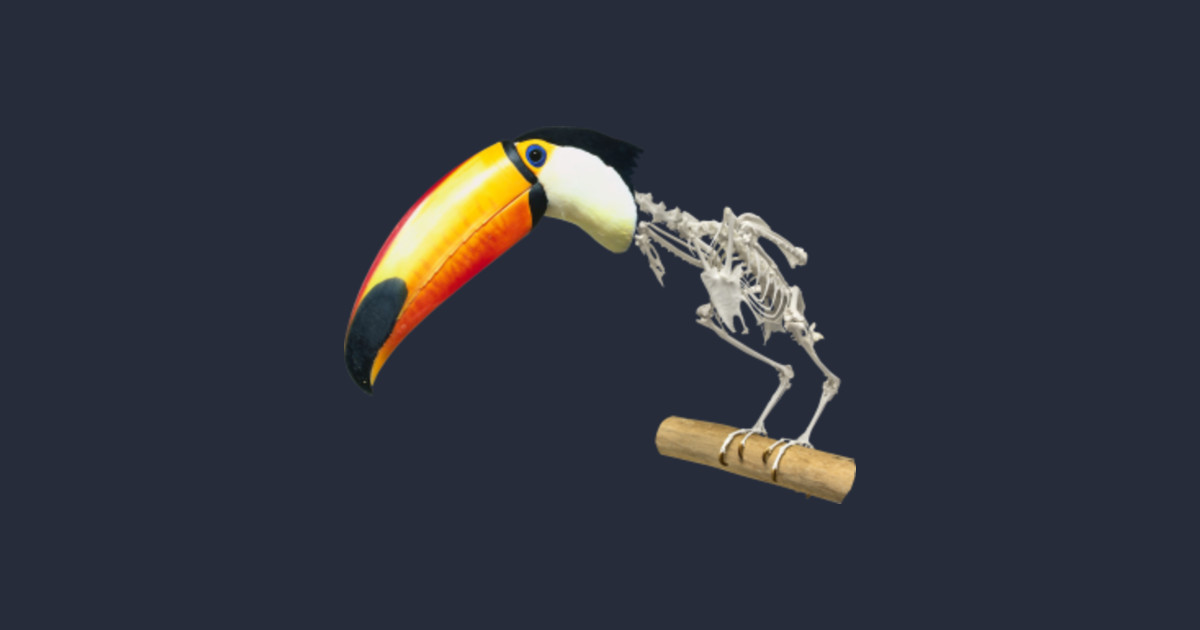 toucan Skeleton - Toucan - Tapestry | TeePublic